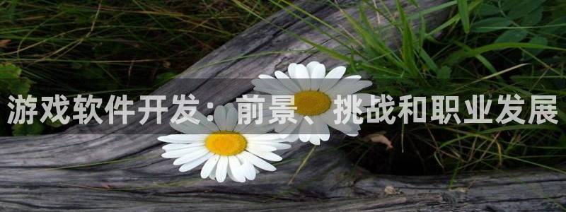 沐鸣娱乐2手机下载破解版