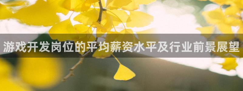 沐鸣娱乐2是正规平台么：游戏开发岗位的平均薪资水平及行业前景展望