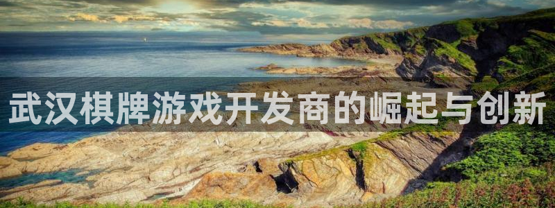 沐鸣娱乐2输钱了：武汉棋牌游戏开发商的崛起与创新