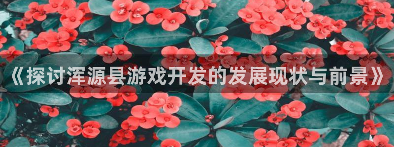 沐鸣娱乐2电脑版：《探讨浑源县游戏开发的发展现状与前景》