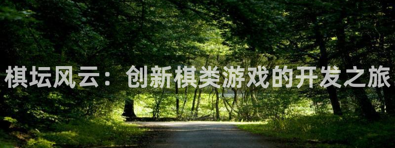 沐鸣2产7O777：棋坛风云：创新棋类游戏的开发之旅