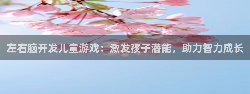 沐鸣2选 37OO735：左右脑开发儿童游戏：激发孩子潜能，助力智力成长