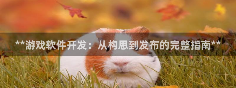 沐鸣娱乐2注册账号：**游戏软件开发：从构思到发布的完整指南**