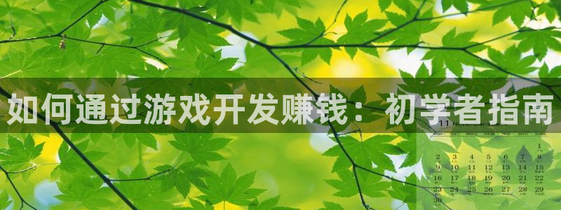 沐鸣娱乐2是干嘛的：如何通过游戏开发赚钱：初学者指南