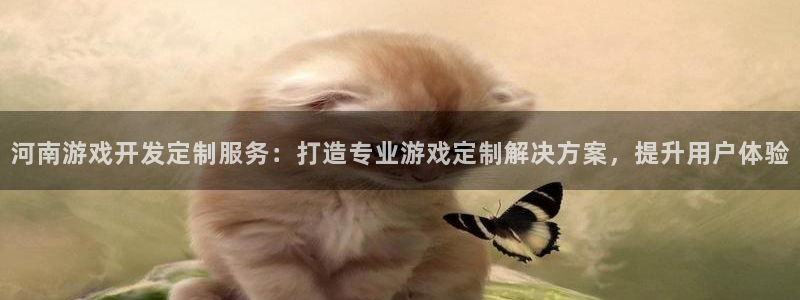 沐鸣2挂机注册：河南游戏开发定制服务：打造专业游戏定制解决方案，提升用户体验