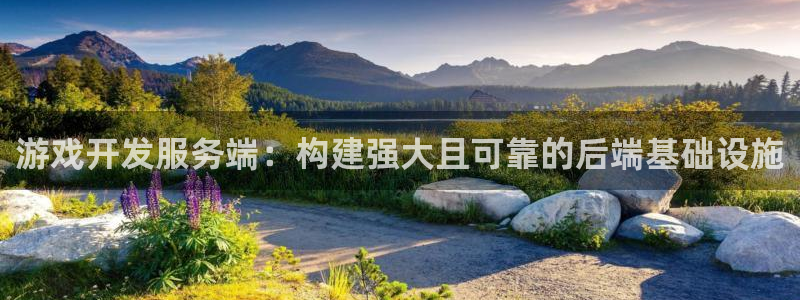 沐鸣娱乐2在线登录：游戏开发服务端：构建强大且可靠的后端基础设施
