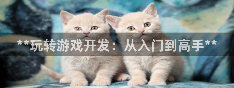 沐鸣2开户
