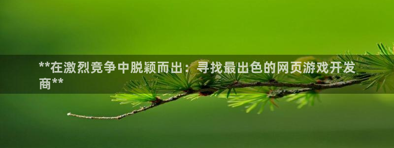 沐鸣娱乐2官网：**在激烈竞争中脱颖而出：寻找最出色的网页游戏开发
商**