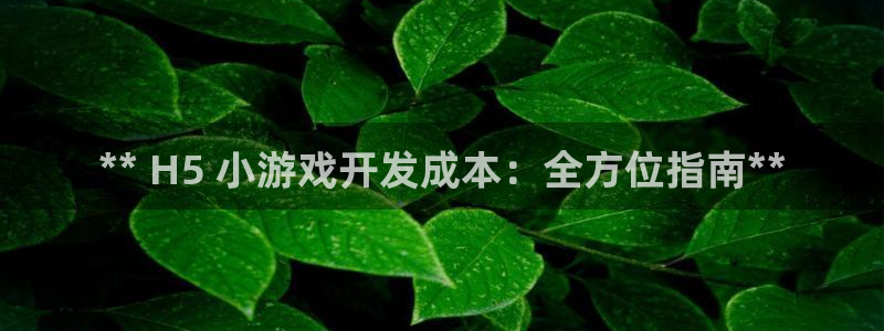 沐鸣2娱乐注册平台：** H5 小游戏开发成本：全方位指南**