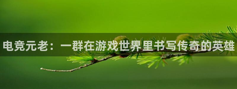 小艾电竞平台官方网：电竞元老：一群在游戏世界里书写传奇的英雄