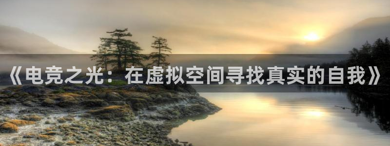 小艾电竞app：《电竞之光：在虚拟空间寻找真实的自我》